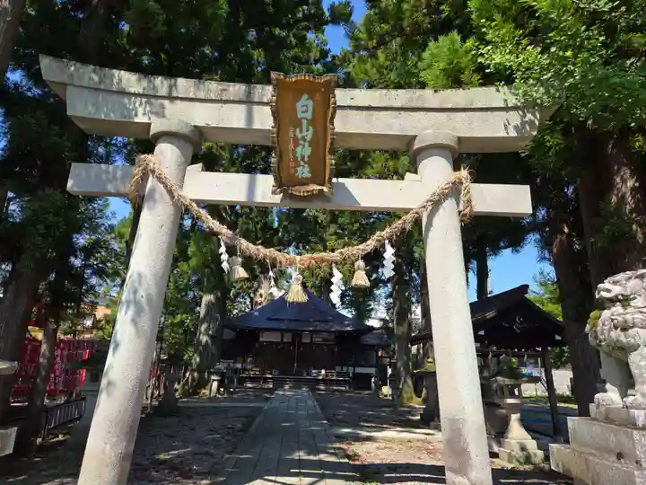 一本杉白山神社(岐阜県)