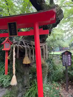 冠稲荷神社(群馬県)