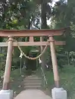 八幡神社の{uncategorized: "未分類", other: "その他", undefined: "問題あり", building: "その他建物", grave: "お墓", sacred_gate: "鳥居", guardian: "狛犬", statue: "像", buddha: "仏像", history: "歴史", nature: "自然", garden: "庭園", animal: "動物", pagoda: "塔", temizu: "手水舎", mountain_gate: "山門・神門", sanctuary: "本殿・本堂", subordinate: "末社・摂社", art: "芸術", scenery: "景色", jizo: "地蔵", ema: "絵馬", goshuin: "御朱印", omikuji: "おみくじ", items: "授与品その他", amulet: "お守り", goshuincho: "御朱印帳", eats: "食事", festival: "お祭り", votive_dance: "神楽", shichigosan: "七五三参", wedding: "結婚式", experience: "体験その他", initially: "初詣", around: "周辺", anti_infection: "感染症対策"}