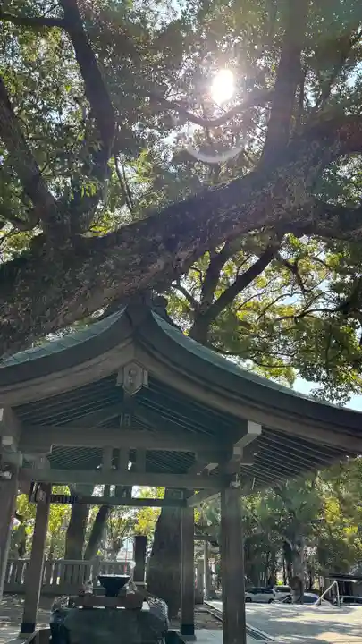 大麻比古神社(徳島県)