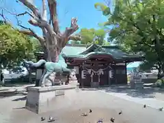 金岡神社の本殿