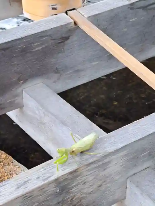 桑名宗社(春日神社)(三重県)