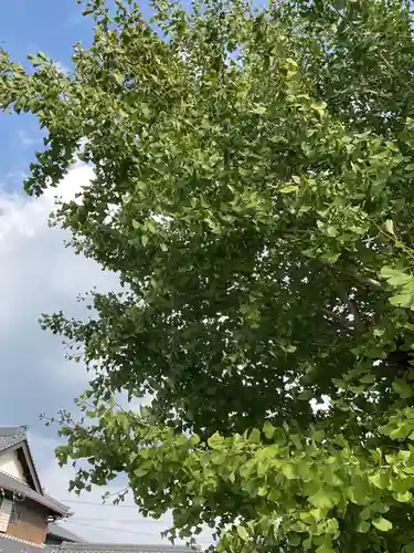 真福寺(愛知県)