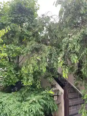 善行院(京都府)