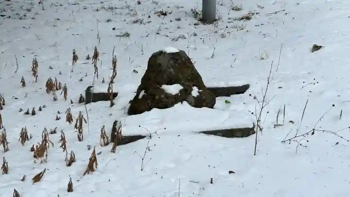 厳島神社の{uncategorized: "未分類", other: "その他", undefined: "問題あり", building: "その他建物", grave: "お墓", sacred_gate: "鳥居", guardian: "狛犬", statue: "像", buddha: "仏像", history: "歴史", nature: "自然", garden: "庭園", animal: "動物", pagoda: "塔", temizu: "手水舎", mountain_gate: "山門・神門", sanctuary: "本殿・本堂", subordinate: "末社・摂社", art: "芸術", scenery: "景色", jizo: "地蔵", ema: "絵馬", goshuin: "御朱印", omikuji: "おみくじ", items: "授与品その他", amulet: "お守り", goshuincho: "御朱印帳", eats: "食事", festival: "お祭り", votive_dance: "神楽", shichigosan: "七五三参", wedding: "結婚式", experience: "体験その他", initially: "初詣", around: "周辺", anti_infection: "感染症対策"}
