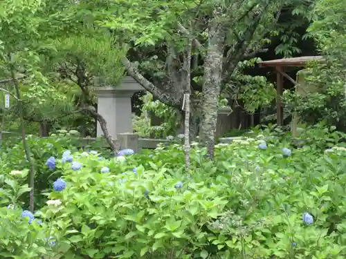 茨城縣護國神社(茨城県)
