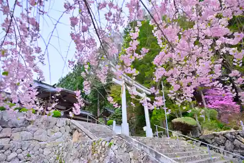 夫婦木神社(山梨県)