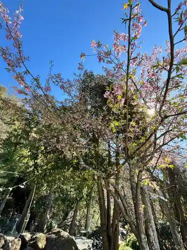 瀧川神社(静岡県)