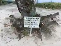 三島社(矢合)の自然