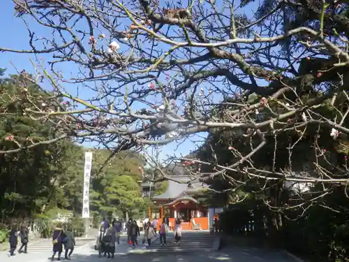 鶴岡八幡宮のその他建物