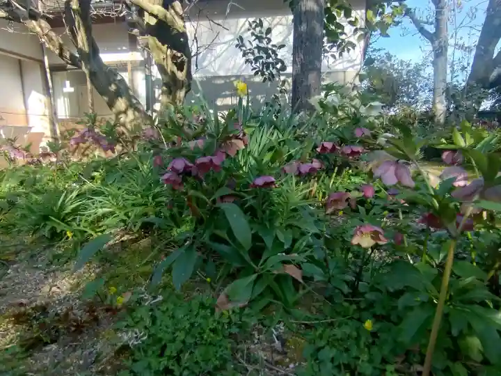 子安地蔵寺の{uncategorized: "未分類", other: "その他", undefined: "問題あり", building: "その他建物", grave: "お墓", sacred_gate: "鳥居", guardian: "狛犬", statue: "像", buddha: "仏像", history: "歴史", nature: "自然", garden: "庭園", animal: "動物", pagoda: "塔", temizu: "手水舎", mountain_gate: "山門・神門", sanctuary: "本殿・本堂", subordinate: "末社・摂社", art: "芸術", scenery: "景色", jizo: "地蔵", ema: "絵馬", goshuin: "御朱印", omikuji: "おみくじ", items: "授与品その他", amulet: "お守り", goshuincho: "御朱印帳", eats: "食事", festival: "お祭り", votive_dance: "神楽", shichigosan: "七五三参", wedding: "結婚式", experience: "体験その他", initially: "初詣", around: "周辺", anti_infection: "感染症対策"}