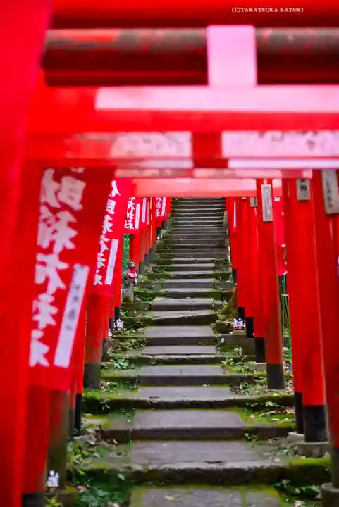 佐助稲荷神社の鳥居