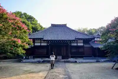蓮教寺の本殿・本堂