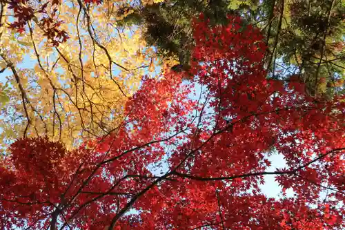 豊景神社の庭園