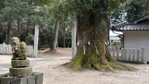 諾神社(岡山県)