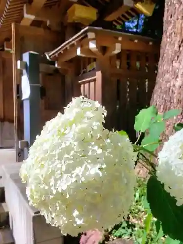 熊野神社の自然
