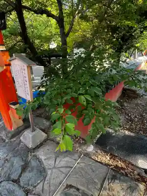 玉津島神社の{uncategorized: "未分類", other: "その他", undefined: "問題あり", building: "その他建物", grave: "お墓", sacred_gate: "鳥居", guardian: "狛犬", statue: "像", buddha: "仏像", history: "歴史", nature: "自然", garden: "庭園", animal: "動物", pagoda: "塔", temizu: "手水舎", mountain_gate: "山門・神門", sanctuary: "本殿・本堂", subordinate: "末社・摂社", art: "芸術", scenery: "景色", jizo: "地蔵", ema: "絵馬", goshuin: "御朱印", omikuji: "おみくじ", items: "授与品その他", amulet: "お守り", goshuincho: "御朱印帳", eats: "食事", festival: "お祭り", votive_dance: "神楽", shichigosan: "七五三参", wedding: "結婚式", experience: "体験その他", initially: "初詣", around: "周辺", anti_infection: "感染症対策"}