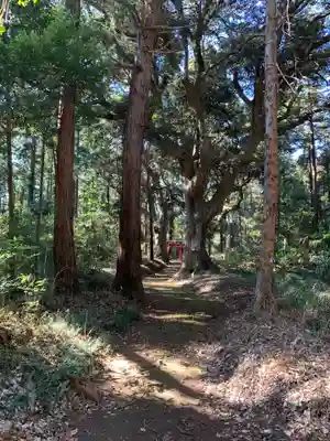 諏訪神社(千葉県)