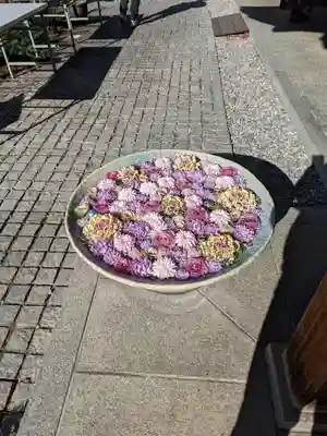 行田八幡神社(埼玉県)