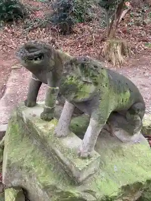 近戸神社(群馬県)