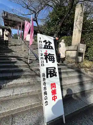 道明寺天満宮(大阪府)