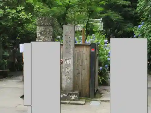 明月院(神奈川県)