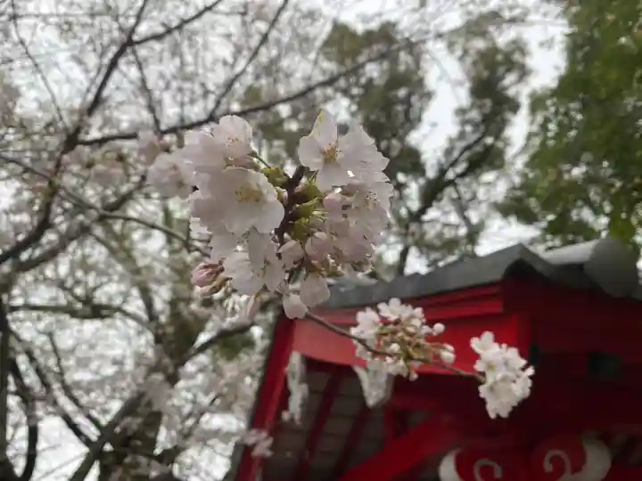 美奈宜神社(福岡県)