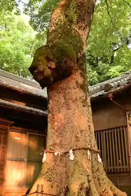 氷川女體神社(埼玉県)