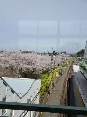 鷲宮神社(埼玉県)