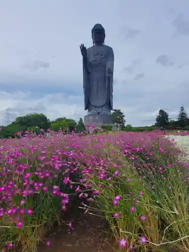 東本願寺本廟 牛久浄苑（牛久大仏）の仏像