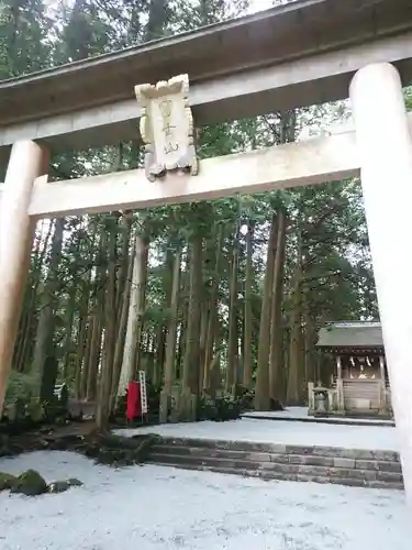 北口本宮冨士浅間神社の鳥居