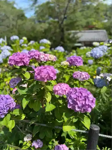 本土寺(千葉県)