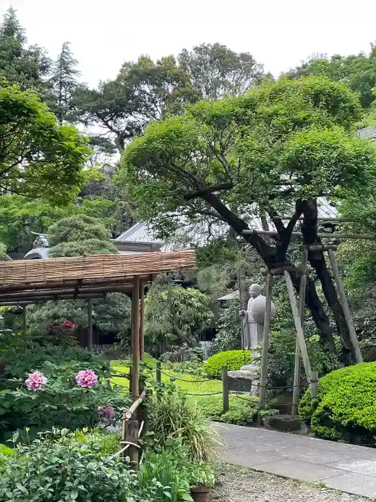 東長谷寺 薬王院(東京都)