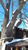 札幌諏訪神社のその他建物