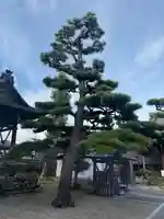 東漸寺(三重県)