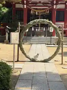 柏諏訪神社(千葉県)(2026年06月06日(土) 09時37分31秒投稿)