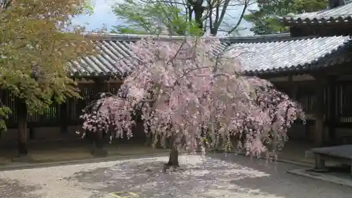 法隆寺の庭園