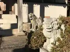 八雲神社の狛犬