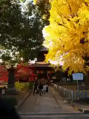 鑁阿寺(栃木県)