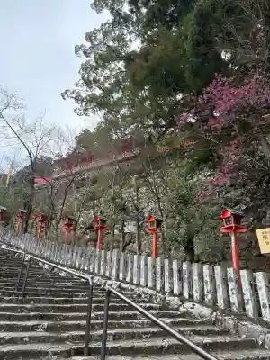 熊野那智大社の{uncategorized: "未分類", other: "その他", undefined: "問題あり", building: "その他建物", grave: "お墓", sacred_gate: "鳥居", guardian: "狛犬", statue: "像", buddha: "仏像", history: "歴史", nature: "自然", garden: "庭園", animal: "動物", pagoda: "塔", temizu: "手水舎", mountain_gate: "山門・神門", sanctuary: "本殿・本堂", subordinate: "末社・摂社", art: "芸術", scenery: "景色", jizo: "地蔵", ema: "絵馬", goshuin: "御朱印", omikuji: "おみくじ", items: "授与品その他", amulet: "お守り", goshuincho: "御朱印帳", eats: "食事", festival: "お祭り", votive_dance: "神楽", shichigosan: "七五三参", wedding: "結婚式", experience: "体験その他", initially: "初詣", around: "周辺", anti_infection: "感染症対策"}