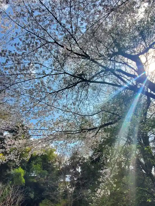 木曽三社神社(群馬県)