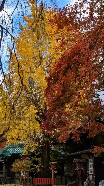 松ヶ崎大黒天 妙圓寺(妙円寺)(京都府)