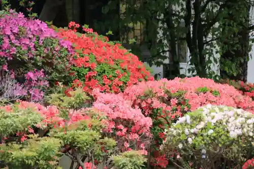 開成山大神宮の庭園