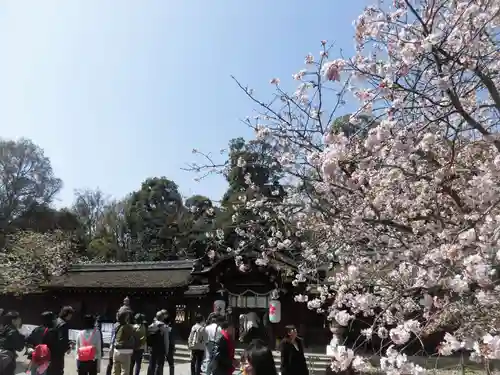 平野神社のその他建物