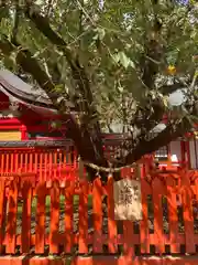 金櫻神社(山梨県)