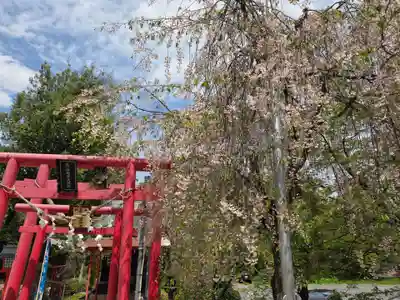 寒河江八幡宮(山形県)