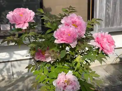 梅香寺(三重県)