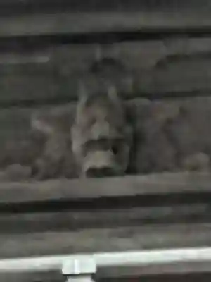 誕生寺(千葉県)