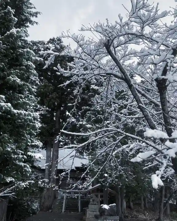 高司神社〜むすびの神の鎮まる社〜の自然