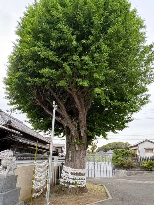 子守神社(千葉県)